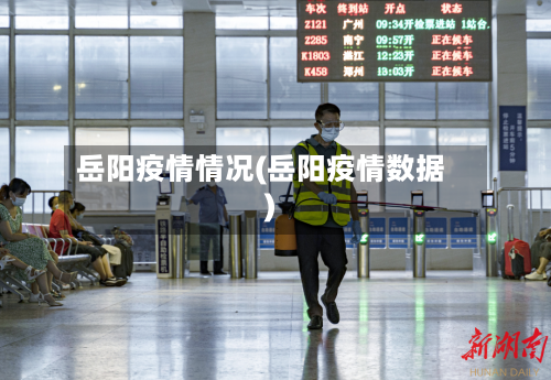 岳阳疫情情况(岳阳疫情数据)-第2张图片