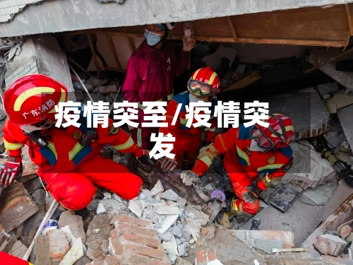 疫情突至/疫情突发-第3张图片