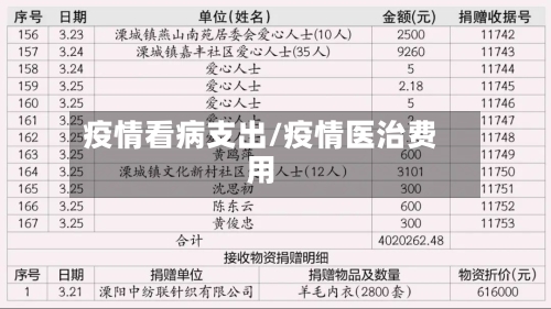 疫情看病支出/疫情医治费用-第2张图片