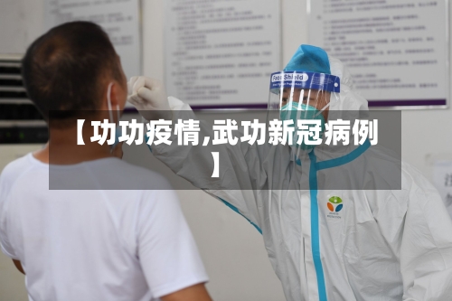 【功功疫情,武功新冠病例】-第2张图片