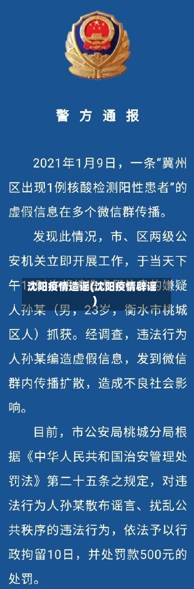 沈阳疫情造谣(沈阳疫情辟谣)-第3张图片
