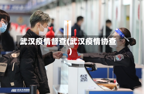 武汉疫情督查(武汉疫情协查)-第1张图片