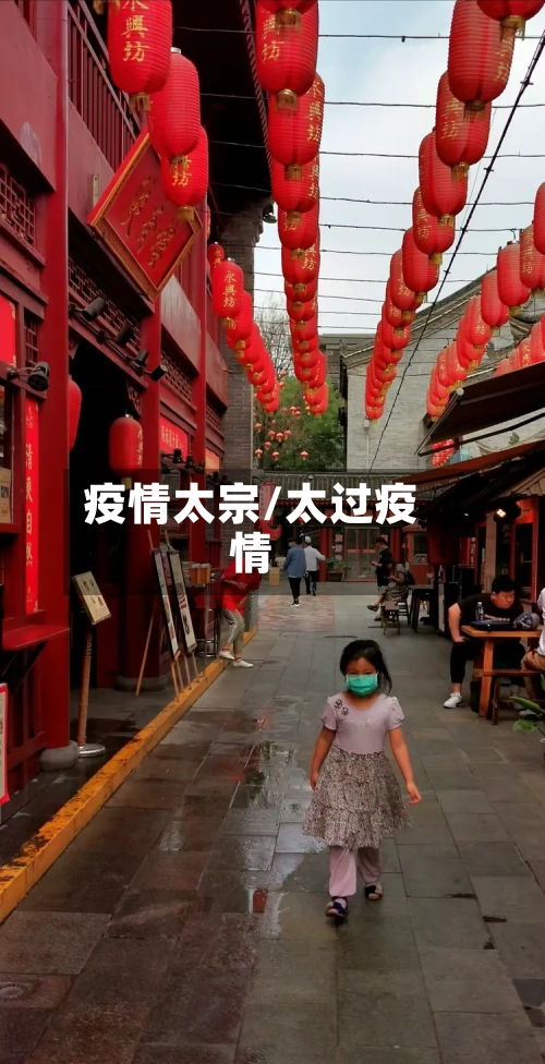 疫情太宗/太过疫情-第1张图片