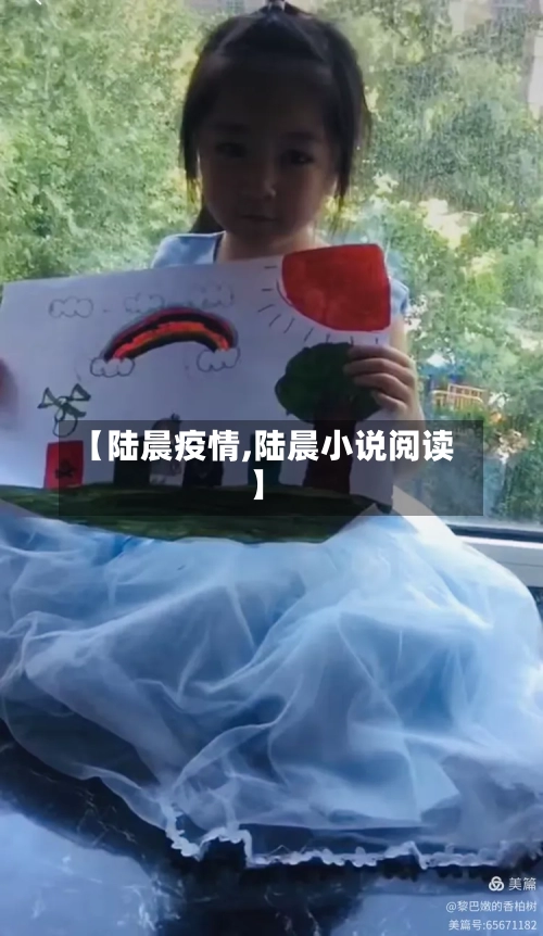 【陆晨疫情,陆晨小说阅读】-第3张图片