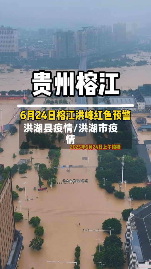 洪湖县疫情/洪湖市疫情-第2张图片