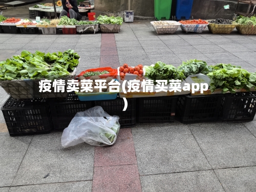 疫情卖菜平台(疫情买菜app)-第1张图片
