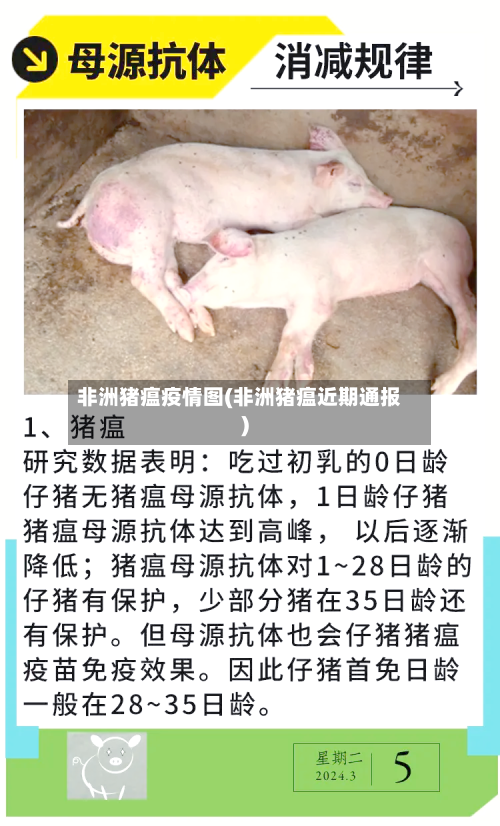 非洲猪瘟疫情图(非洲猪瘟近期通报)-第2张图片