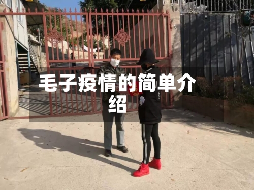 毛子疫情的简单介绍-第1张图片
