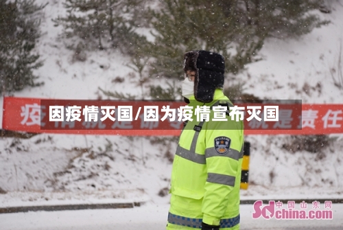 因疫情灭国/因为疫情宣布灭国-第2张图片