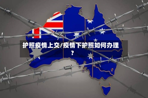 护照疫情上交/疫情下护照如何办理?-第2张图片