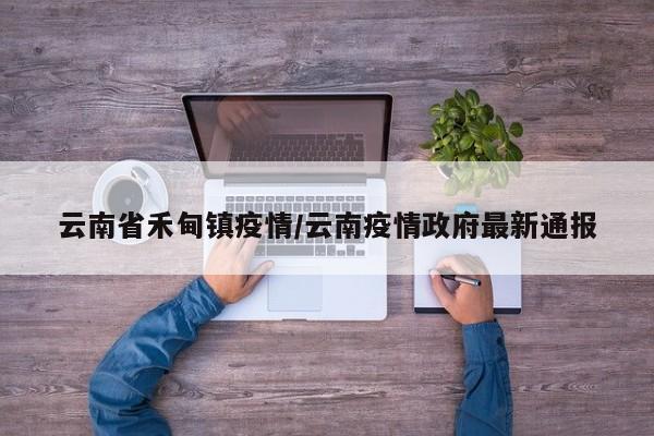 云南省禾甸镇疫情/云南疫情政府最新通报