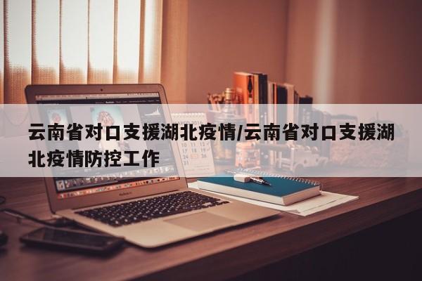 云南省对口支援湖北疫情/云南省对口支援湖北疫情防控工作