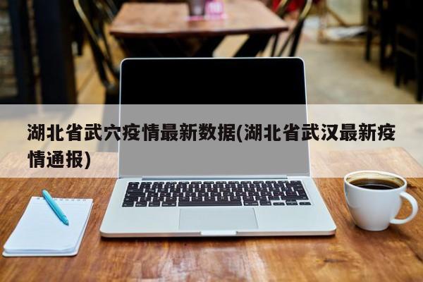 湖北省武穴疫情最新数据(湖北省武汉最新疫情通报)