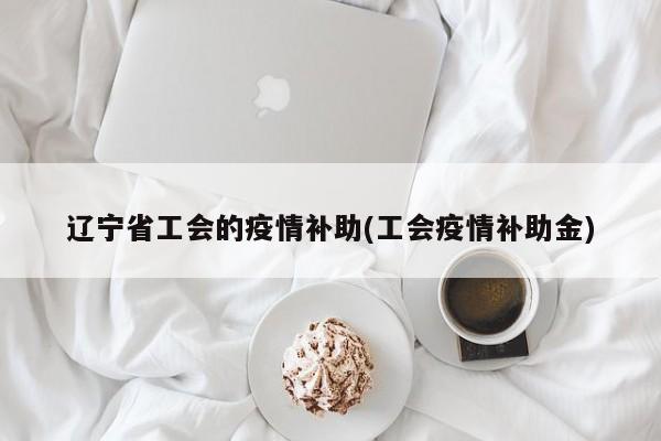 辽宁省工会的疫情补助(工会疫情补助金)