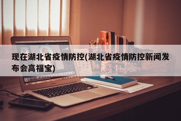现在湖北省疫情防控(湖北省疫情防控新闻发布会高福宝)