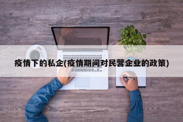 疫情下的私企(疫情期间对民营企业的政策)