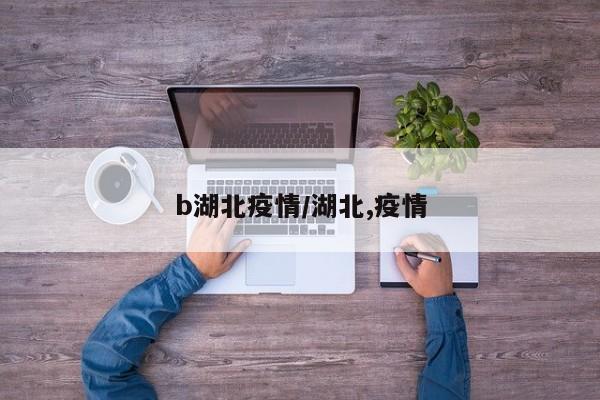 b湖北疫情/湖北,疫情
